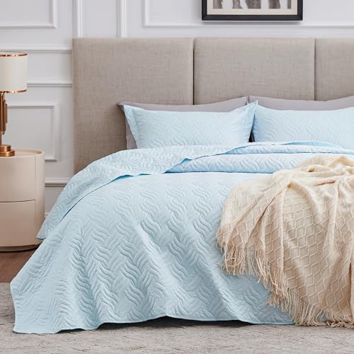 Love's cabin Quilts for Queen Bed Light Blue Bedspreads