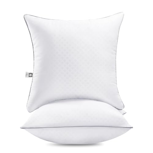 Anne Klein 18x18 Pillow Inserts Set of 2 -