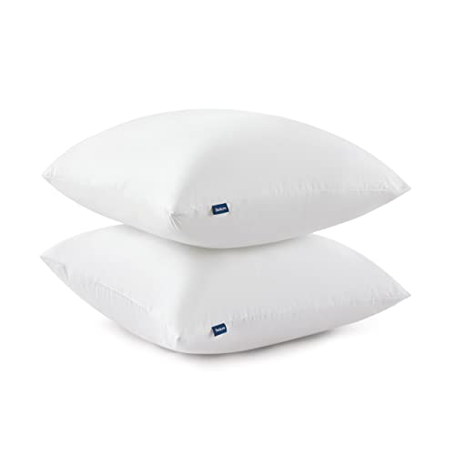 Bedsure 18 x 18 Pillow Inserts