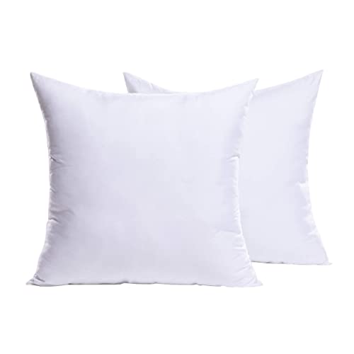 MIULEE Set of 2 Throw Pillow
