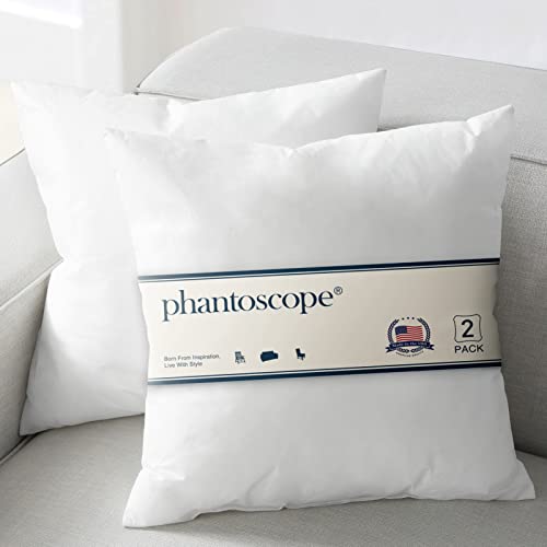 Phantoscope Pillow Inserts