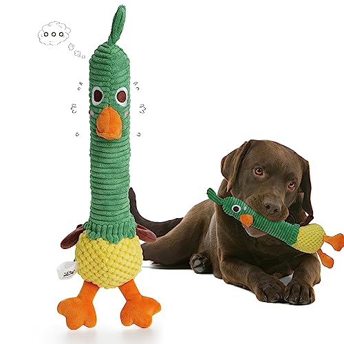 Nocciola 2 in 1 Duck Dog Toy with a Large Rubber Squeaker