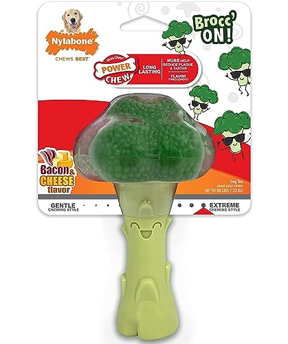 Nylabone Broccoli Dog Toy Power Chew