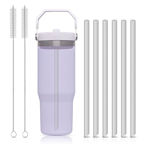 JAYOBGO Replacement Straws for Stanley Iceflow