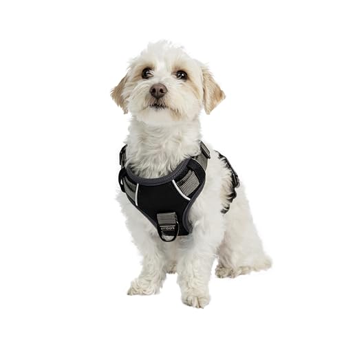 Embark Adventure Dog Harness No-Pull
