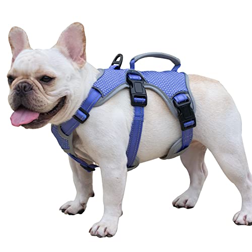 HUNTBOO Escape Proof Dog Harness