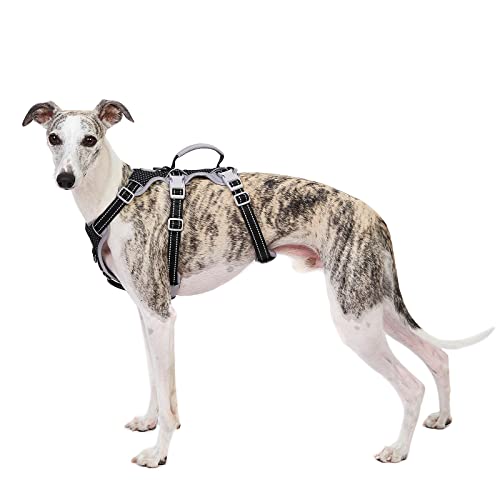 Huntboo Escape Proof Dog Harness