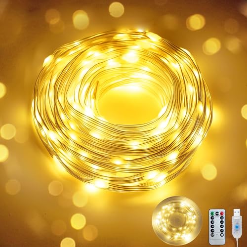 ziloes Fairy Lights 40 FT 100 LED