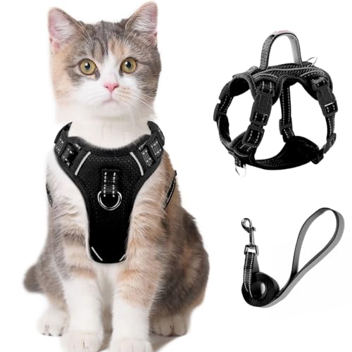 BARKBAY Cat Harness and Leash Set