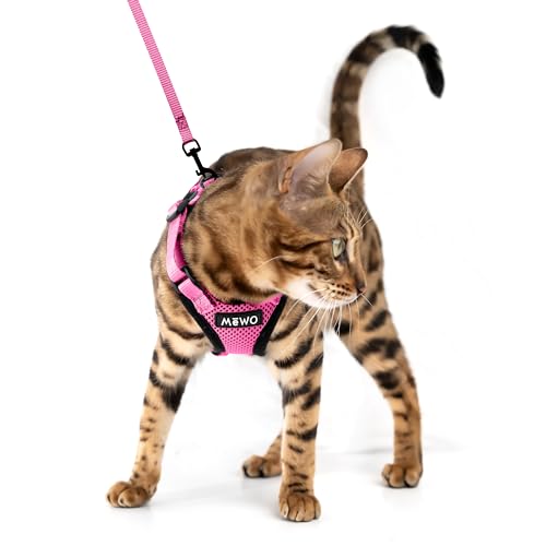 MEWO Cat Harness and Leash Set