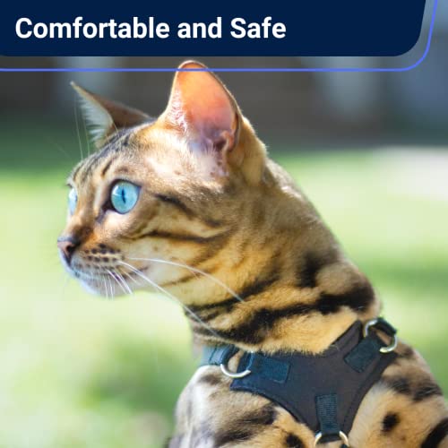 Pictured Safest Cat Harness: OutdoorBengal Houdini™ Leather Escape Resistant Cat