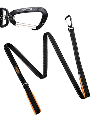 Mighty Paw Two Handle Dog Leash