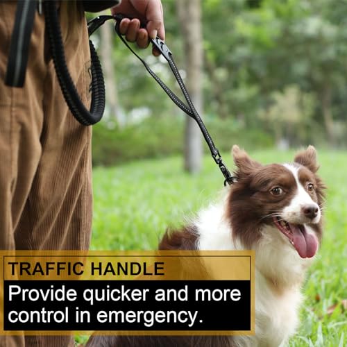 Pictured Safest Dog Leash: TINMARDA Heavy Duty Dog Leash