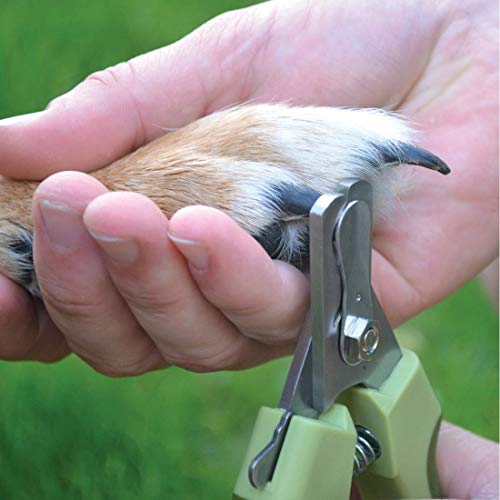 Pictured Sharpest Dog Nail Clippers: Coastal Pet Safari Professional Dog Nail Trimmer