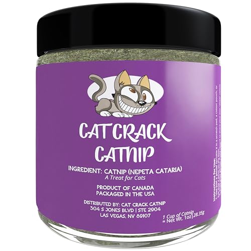  Cat Crack Cat Crack Catnip
