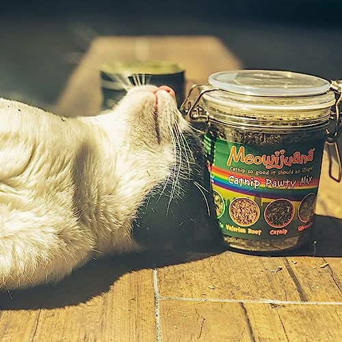 Pictured Strongest Catnip: Meowijuana Catnip Pawty Mix Jar