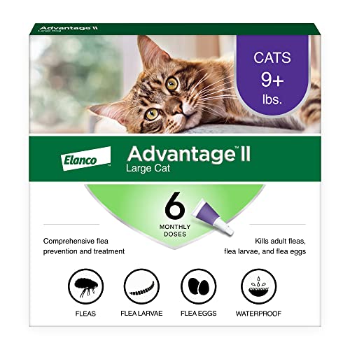 Advantage II Large Cat Vet-Recommended Flea