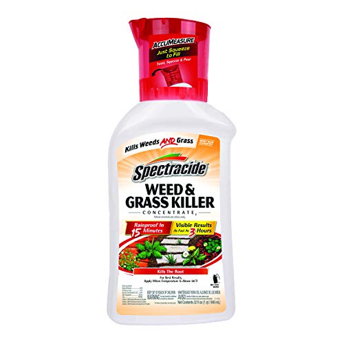 Spectracide Weed and Grass Killer Concentrate
