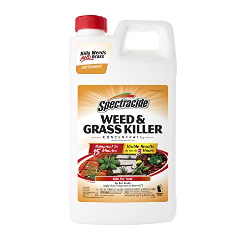 Spectracide Weed & Grass Killer Concentrate