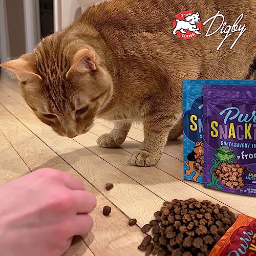 Fromm PurrSnackitty Salmon Flavor Sna...