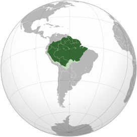 Amazon Rainforest, Various Countries