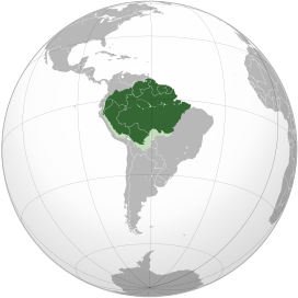 Savannas of the Amazon Basin