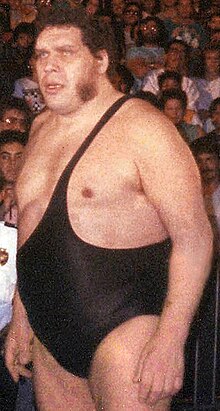 Andre the Giant