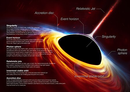 Black Holes