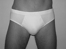 Briefs