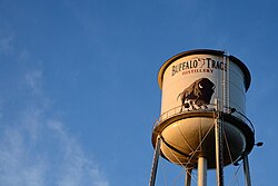 Buffalo Trace