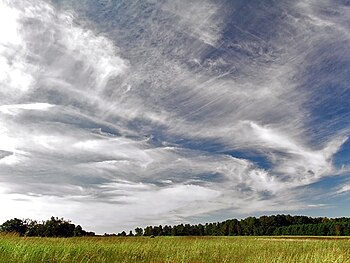 Cirrus Uncinus Clouds