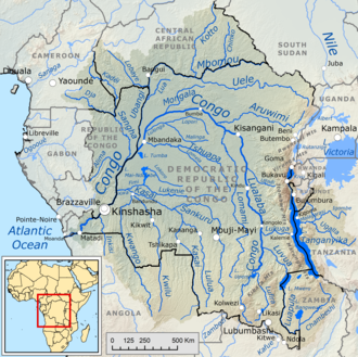 Congo Basin Rainforest