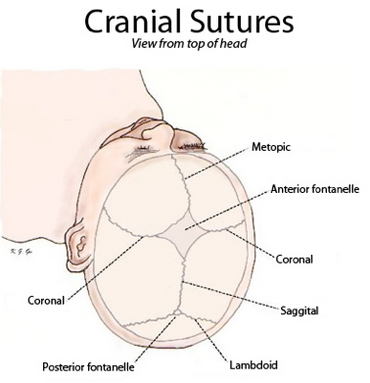 Craniofacial Surgery