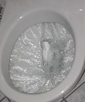The Flush Toilet