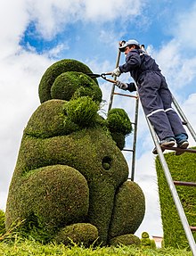 Gardening