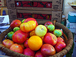 Heirloom Tomatoes