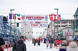 Iditarod Trail Sled Dog Race