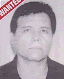 Ismael 'El Mayo' Zambada