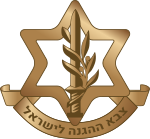 Israeli Defense Forces (IDF) Training