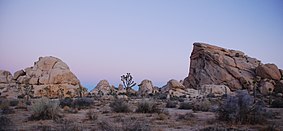 Joshua Tree National Park