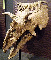 Kosmoceratops