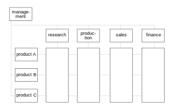 Matrix HR Structure
