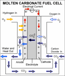 Molten Carbonate Fuel Cells (MCFC)