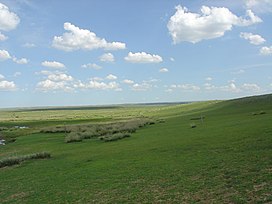 The Mongolian-Manchurian Grassland