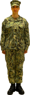 NWU (Navy Working Uniform)