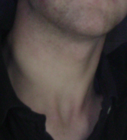 Neck Curve