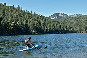 Paddleboarding