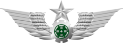 People's Liberation Army Ground Force