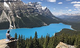 Peyto Lake