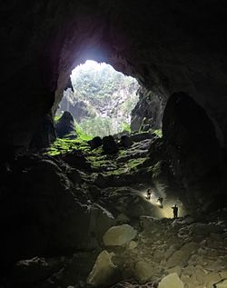 Son Doong Cave